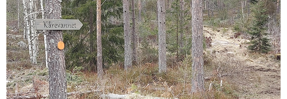 Gavekort Ti på Topp 2023